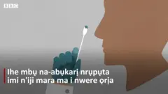 Etu e si eme nyocha maka coronavirus
