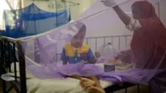 হাসপাতালে ডেঙ্গু রোগীদের ভিড়।