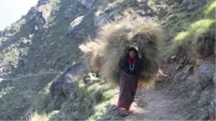 घाँसपात, स्याउला, सोत्तरको लागि ज्यानै जोखिममा राखेर रुख-भीर गर्नुपर्ने कर्णालीका महिलाहरूको गुनासो छ।
