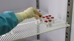 Vaksin