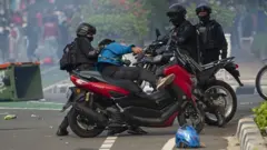 omnibus