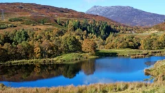Schiehallion