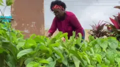 Agbẹ ninu oko