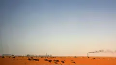 عربستان سعودی