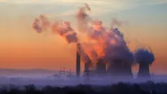 Contaminación