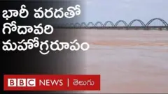 గోదావరి