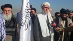 طالبانو پلاوی
