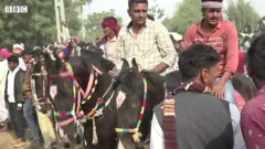 గుర్రపు పందేలు