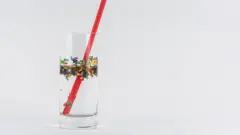 Mikroplastik