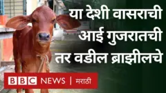 दिवाळी, वसूबारस