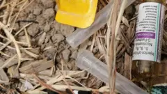 ਬਾਓਮੈਡੀਕਲ, ਡਰੱਗ