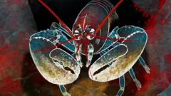 Image of lobster