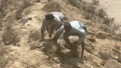 ہیلی کاپٹر
