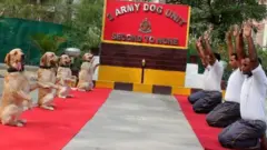 આર્મી ડૉગ યુનિટ
