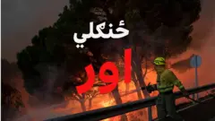 د هوا د تودېدو له پیل راهیسې د اسپانیا په ۳۰ ځایونو کې ځنګلي اورونه لګېدلي دي. د فرانسې سوېل لوېدځ کې خلک خپلو کورونو پرېښودو ته اړ شوي.