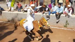 आजोबा