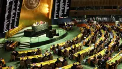 Asamblea General de Naciones Unidas