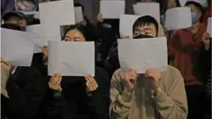 白紙運動