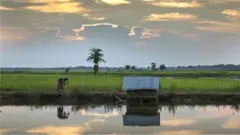 A Fada a cika kan bibiyar ayyukan raya mazabu a Kano