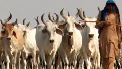थार