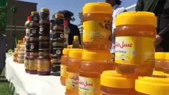 نمایشگاه انگور و عسل در هرات