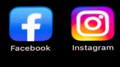 Facebook insta logs