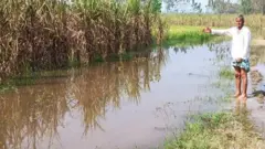 उत्तर प्रदेश