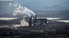 Ankara Çayırhan Termik Santrali