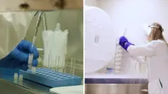 ما هي عملية "التشخيص الوراثي السابق للزرع" المتعلقة بالإخصاب؟