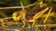 கோப்பு படம்