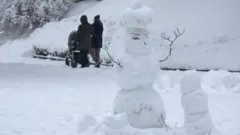 сніг