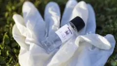 Illustration with mock up of Novichok agent (A-234) bottle and white rubber gloves on grass. Fictitious title on bottle in Russian: Novichok
