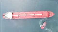 зерно