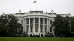 White house