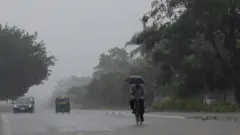 पाऊस