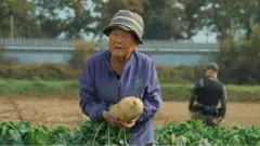 朝韓非軍事區