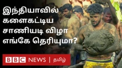 களைகட்டிய சாணியடி திருவிழ்