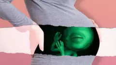 ગર્ભાવસ્થા
