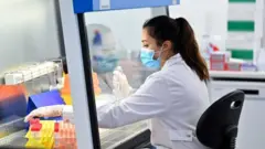 İngiltere'de bir Covid laboratuvarı.