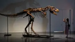 Skelet gorgosaurusa na izložbi u Njujorku