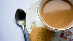 Biscuit