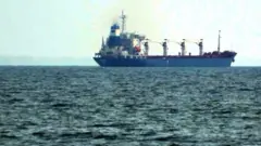 Сухогруз Razoni