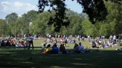 Groups in the park