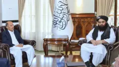 بریدونه