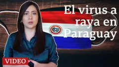 Ana María Roura
