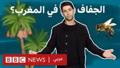 صورة من حلقة اكسترا التلفزيوني عن الجفاف في المغرب