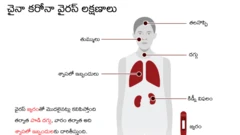 కరోనా వైరస్