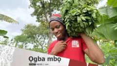 Onye na-akọ olugbu