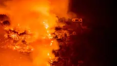 حرائق الغابات في لبنان