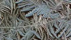 Ice